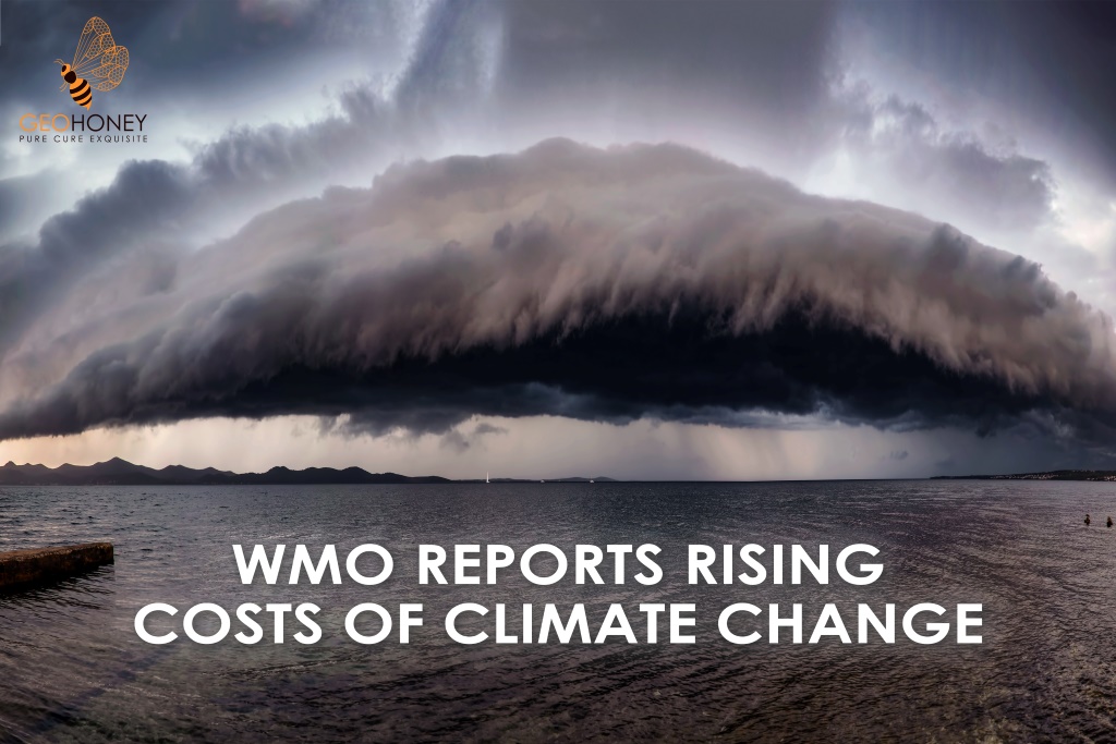 World Meteorological Organization's newest State of the Global Climate report. An illustration of the Earth with rising temperatures and oceans, showing the temperature and sea level rise over the past eight years.